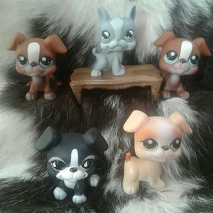 Hasbro Other - Littlest Pet Shop Boston Terrier #857 Hasbro Other - Littlest Pet Shop Boston Terrier #857